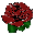 Dark RedRose